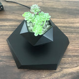 Load image into Gallery viewer, Floating Magnetic Levitating Flower Pot - MinimalVue