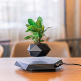 Load image into Gallery viewer, Floating Magnetic Levitating Flower Pot - MinimalVue