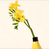 Load image into Gallery viewer, Banana Vase - MinimalVue