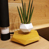 Load image into Gallery viewer, Floating Magnetic Levitating Flower Pot - MinimalVue