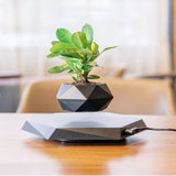 Load image into Gallery viewer, Floating Magnetic Levitating Flower Pot - MinimalVue