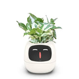 Load image into Gallery viewer, smart pot for plant - MinimalVue