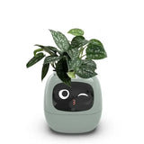 Load image into Gallery viewer, smart pot for plant - MinimalVue