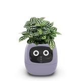 Load image into Gallery viewer, smart pot for plant - MinimalVue