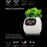 Load image into Gallery viewer, smart pot for plant - MinimalVue